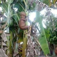 Kanali mwime
