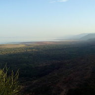Mzoamaganda