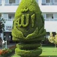 Aba Hamid
