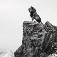 Frontnn