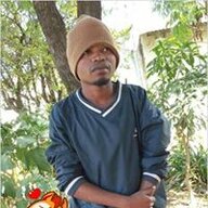 Ushy Boy