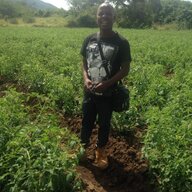 Kibag