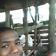 Daudi Mberedero