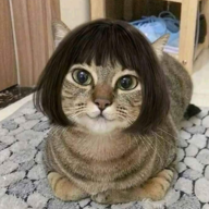 Mama msabato