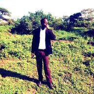LUDOVIC k