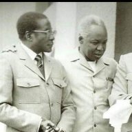 Mugabe Jr