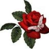 Redbutterfly