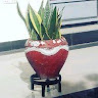 GARDENER255