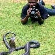 Songopwe