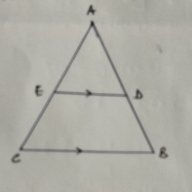 genuinecopy