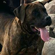 Ramsey99