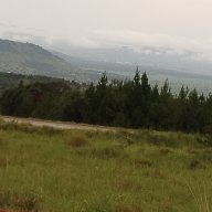 IPh93