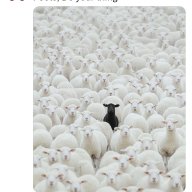 the truther