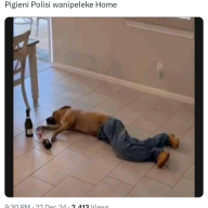 fufumajeusi