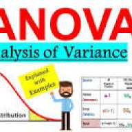 Mr Anova