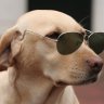 chito