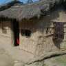 mpogolo