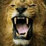 king ABD