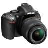 kapis