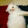 mudy4life