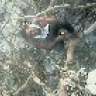 king fizo