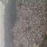 Meriat