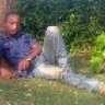 jackson mushi