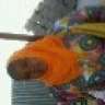 Mrs.G