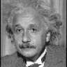 The Intelligent
