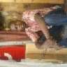 geofrey alex
