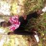 Obamiy