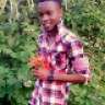 deeboy