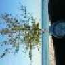 changes927
