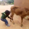 Shy land