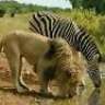 kaberweye