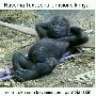 oct_nnunduma