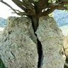 Ramark
