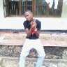 dammy29