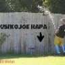 foyo mwalongo