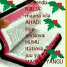 intelligent mind