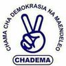 mpiga dili mzoefu