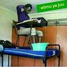mchuzi wa pweza