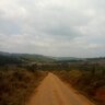 Vsanene