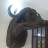 kwinyo