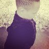 Paul Tesha