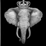 King Tembo