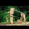 Only 1 Lady