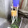 ABSev
