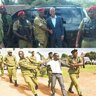 Msomi wa MNGETA