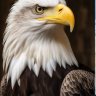 King 999
